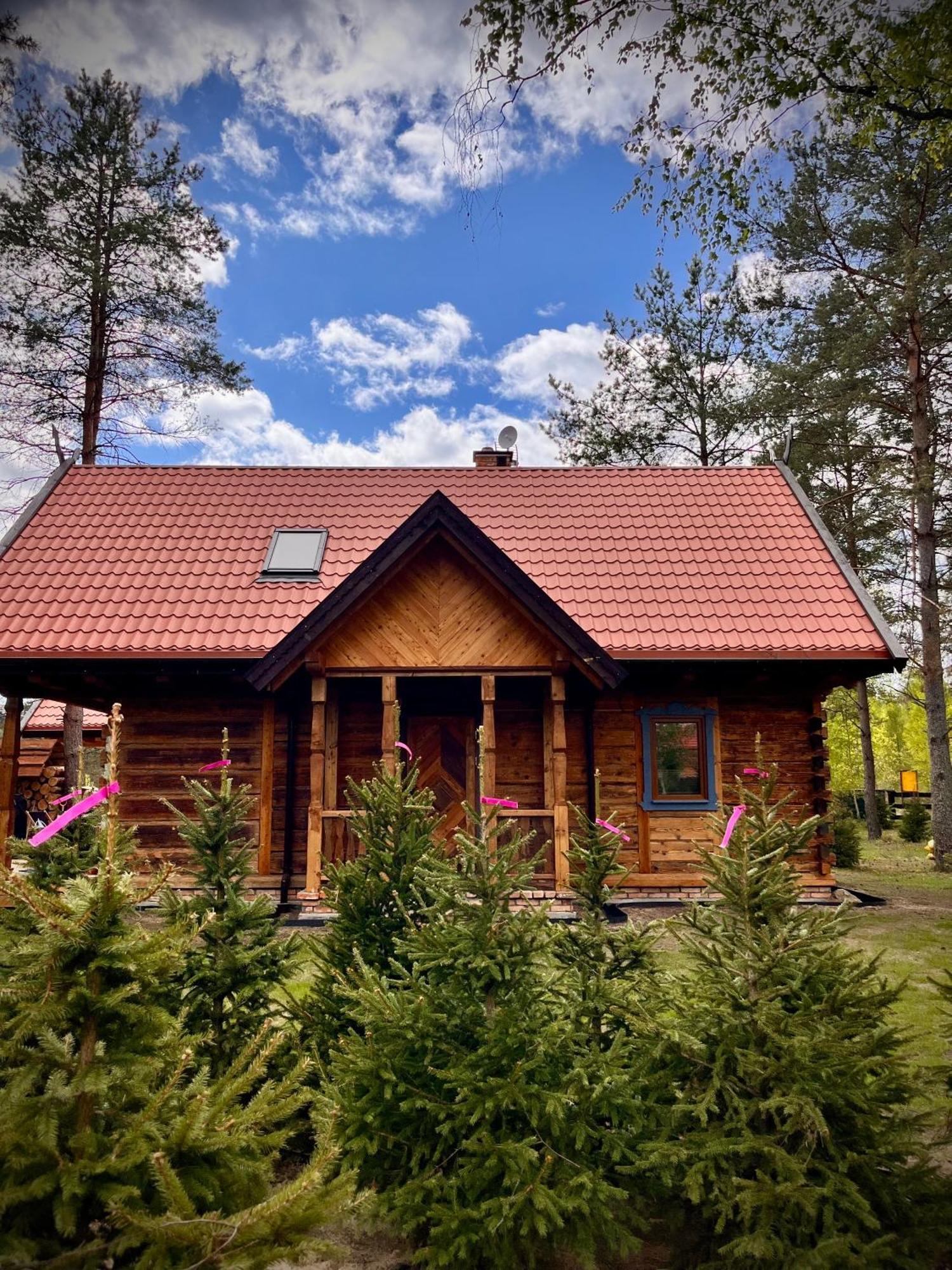 Hankowka Mazury Jerutki المظهر الخارجي الصورة